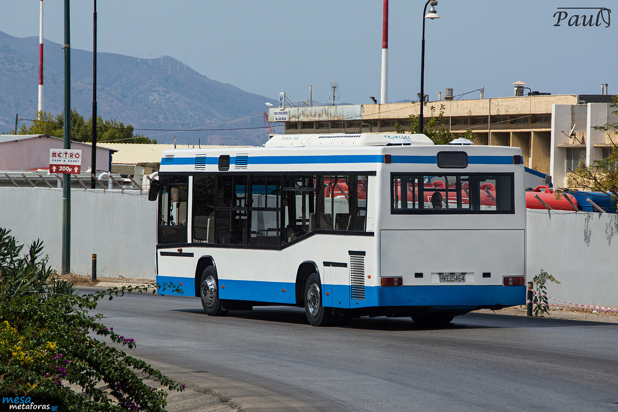  156 NEOPLAN N4010NF 156 Bus Gallery